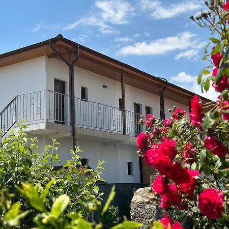 Vila Bloom Vama Veche Luaran gambar
