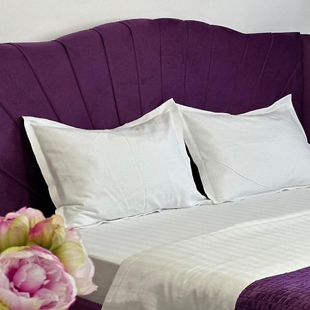 Vila Bloom Vama Veche Luaran gambar